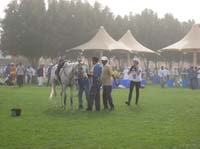 /international/UAE/2008PresidentsCup/Gallery/johntView/thumbnails/IMG_1158.jpg