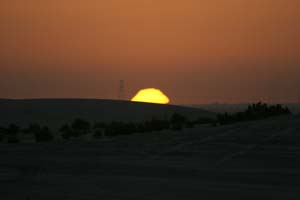 /international/UAE/2008PresidentsCup/Gallery/loop1best/thumbnails/IMG_3436.jpg