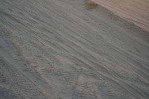 /international/UAE/2008PresidentsCup/Gallery/loop1best/thumbnails/IMG_3461.jpg