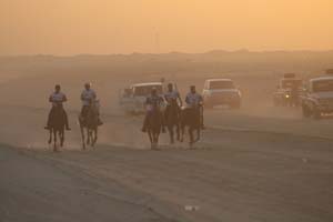 /international/UAE/2008PresidentsCup/Gallery/loop1best/thumbnails/IMG_3469.jpg