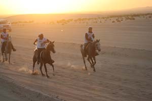 /international/UAE/2008PresidentsCup/Gallery/loop1best/thumbnails/IMG_3483.jpg