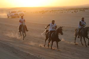 /international/UAE/2008PresidentsCup/Gallery/loop1best/thumbnails/IMG_3484.jpg