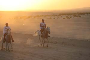 /international/UAE/2008PresidentsCup/Gallery/loop1best/thumbnails/IMG_3488.jpg