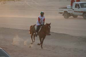 /international/UAE/2008PresidentsCup/Gallery/loop1best/thumbnails/IMG_3506.jpg