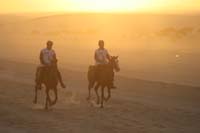 /international/UAE/2008PresidentsCup/Gallery/loop1best/thumbnails/IMG_3508.jpg