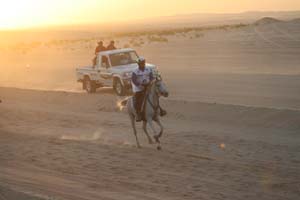 /international/UAE/2008PresidentsCup/Gallery/loop1best/thumbnails/IMG_3514.jpg