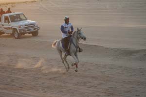 /international/UAE/2008PresidentsCup/Gallery/loop1best/thumbnails/IMG_3515.jpg