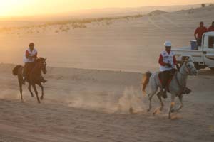 /international/UAE/2008PresidentsCup/Gallery/loop1best/thumbnails/IMG_3517.jpg