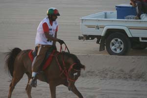 /international/UAE/2008PresidentsCup/Gallery/loop1best/thumbnails/IMG_3519.jpg