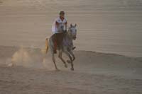 /international/UAE/2008PresidentsCup/Gallery/loop1best/thumbnails/IMG_3531.jpg