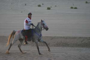 /international/UAE/2008PresidentsCup/Gallery/loop1best/thumbnails/IMG_3533.jpg