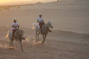 /international/UAE/2008PresidentsCup/Gallery/loop1best/thumbnails/IMG_3538.jpg