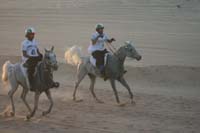 /international/UAE/2008PresidentsCup/Gallery/loop1best/thumbnails/IMG_3539.jpg