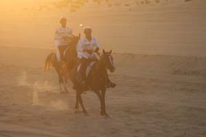 /international/UAE/2008PresidentsCup/Gallery/loop1best/thumbnails/IMG_3541.jpg