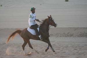 /international/UAE/2008PresidentsCup/Gallery/loop1best/thumbnails/IMG_3545.jpg
