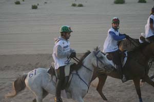 /international/UAE/2008PresidentsCup/Gallery/loop1best/thumbnails/IMG_3553.jpg