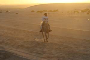 /international/UAE/2008PresidentsCup/Gallery/loop1best/thumbnails/IMG_3560.jpg