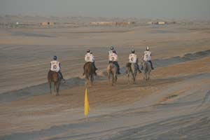 /international/UAE/2008PresidentsCup/Gallery/loop1best/thumbnails/IMG_3611.jpg