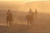 /international/UAE/2008PresidentsCup/Gallery/loop1best/thumbnails/IMG_3615.jpg