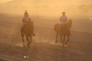 /international/UAE/2008PresidentsCup/Gallery/loop1best/thumbnails/IMG_3616.jpg