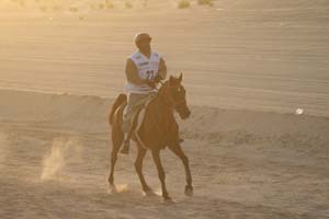 /international/UAE/2008PresidentsCup/Gallery/loop1best/thumbnails/IMG_3645.jpg