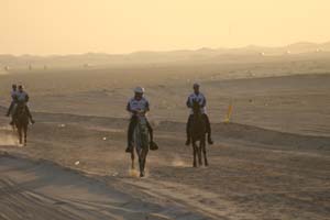 /international/UAE/2008PresidentsCup/Gallery/loop1best/thumbnails/IMG_3655.jpg