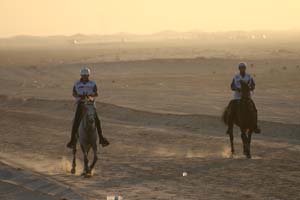 /international/UAE/2008PresidentsCup/Gallery/loop1best/thumbnails/IMG_3656.jpg