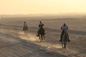 /international/UAE/2008PresidentsCup/Gallery/loop1best/thumbnails/IMG_3658.jpg
