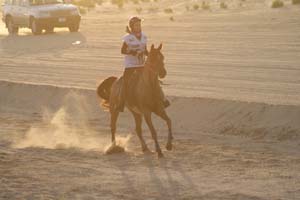 /international/UAE/2008PresidentsCup/Gallery/loop1best/thumbnails/IMG_3684.jpg