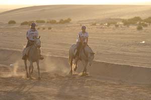 /international/UAE/2008PresidentsCup/Gallery/loop1best/thumbnails/IMG_3705.jpg