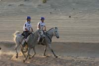 /international/UAE/2008PresidentsCup/Gallery/loop1best/thumbnails/IMG_3710.jpg