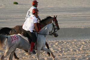/international/UAE/2008PresidentsCup/Gallery/loop1best/thumbnails/IMG_3780.jpg