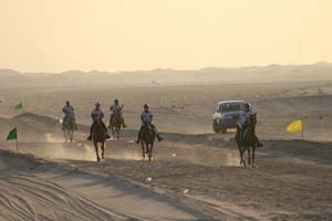/international/UAE/2008PresidentsCup/Gallery/loop1best/thumbnails/IMG_3784.jpg