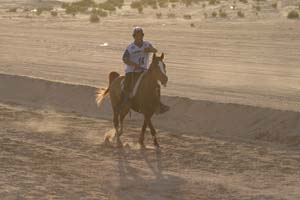 /international/UAE/2008PresidentsCup/Gallery/loop1best/thumbnails/IMG_3803.jpg