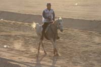 /international/UAE/2008PresidentsCup/Gallery/loop1best/thumbnails/IMG_3804.jpg