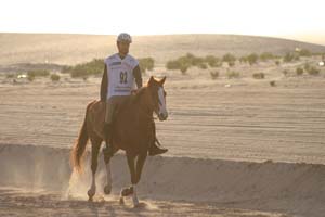 /international/UAE/2008PresidentsCup/Gallery/loop1best/thumbnails/IMG_3815.jpg