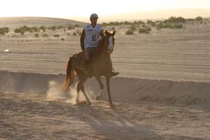 /international/UAE/2008PresidentsCup/Gallery/loop1best/thumbnails/IMG_3816.jpg