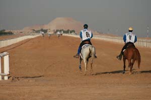 /international/UAE/2008PresidentsCup/Gallery/loop1best/thumbnails/IMG_3855.jpg