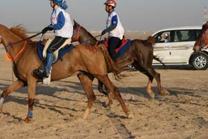 /international/UAE/2008PresidentsCup/Gallery/loop1best/thumbnails/IMG_3870.jpg