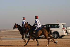 /international/UAE/2008PresidentsCup/Gallery/loop1best/thumbnails/IMG_3876.jpg