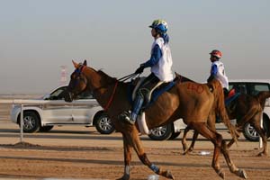 /international/UAE/2008PresidentsCup/Gallery/loop1best/thumbnails/IMG_3878.jpg