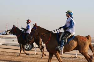 /international/UAE/2008PresidentsCup/Gallery/loop1best/thumbnails/IMG_3882.jpg