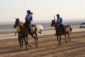 /international/UAE/2008PresidentsCup/Gallery/loop1best/thumbnails/IMG_3895.jpg