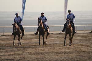 /international/UAE/2008PresidentsCup/Gallery/loop1best/thumbnails/IMG_3908.jpg