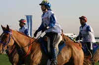 /international/UAE/2008PresidentsCup/Gallery/loop1best/thumbnails/IMG_3915.jpg