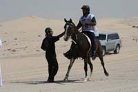/international/UAE/2008PresidentsCup/Gallery/loop345best/thumbnails/IMG_5225.jpg