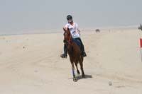 /international/UAE/2008PresidentsCup/Gallery/loop345best/thumbnails/IMG_5315.jpg