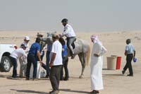 /international/UAE/2008PresidentsCup/Gallery/loop345best/thumbnails/IMG_5331.jpg