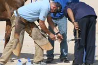/international/UAE/2008PresidentsCup/Gallery/loop345best/thumbnails/IMG_5467.jpg
