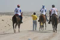 /international/UAE/2008PresidentsCup/Gallery/loop345best/thumbnails/IMG_5493.jpg